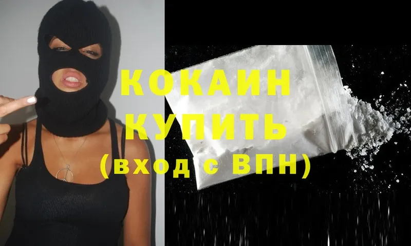 Cocaine FishScale  купить  цена  Александровск 